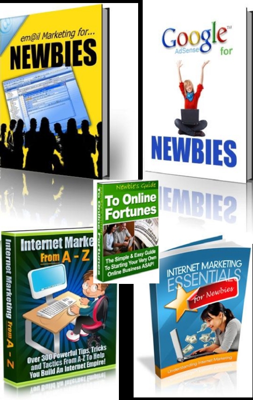 Product picture Internet Marketing for Newbies (Master Resale Rights)
